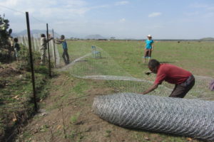 17.03.Fencing of the 40 ha . März 2017