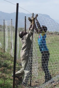 17.03.Fencing of the 40ha März 2017